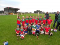 /album/senior-football-v-st-brigids/hurling-blitz-school-photos-035-jpg/
